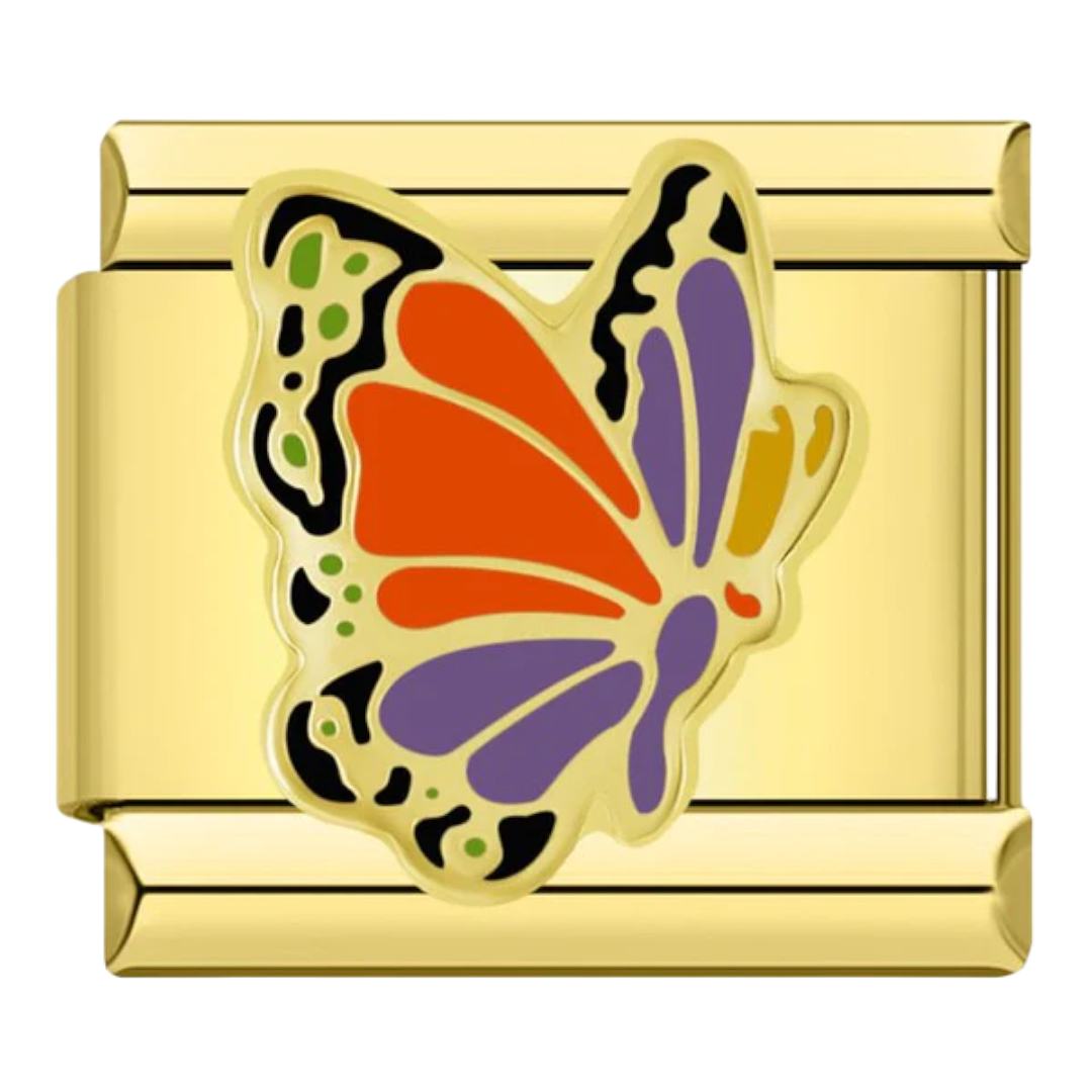 Papillon orange et violet